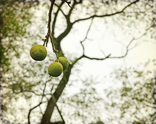 [DSC_0275 copy 2[4].jpg]